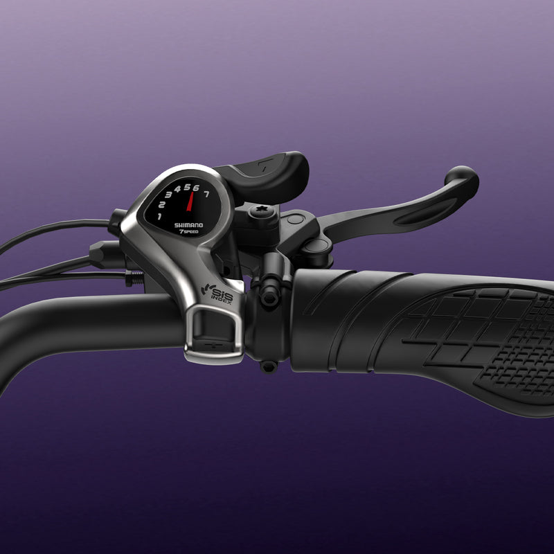 Trasmissione Shimano a 7 velocità