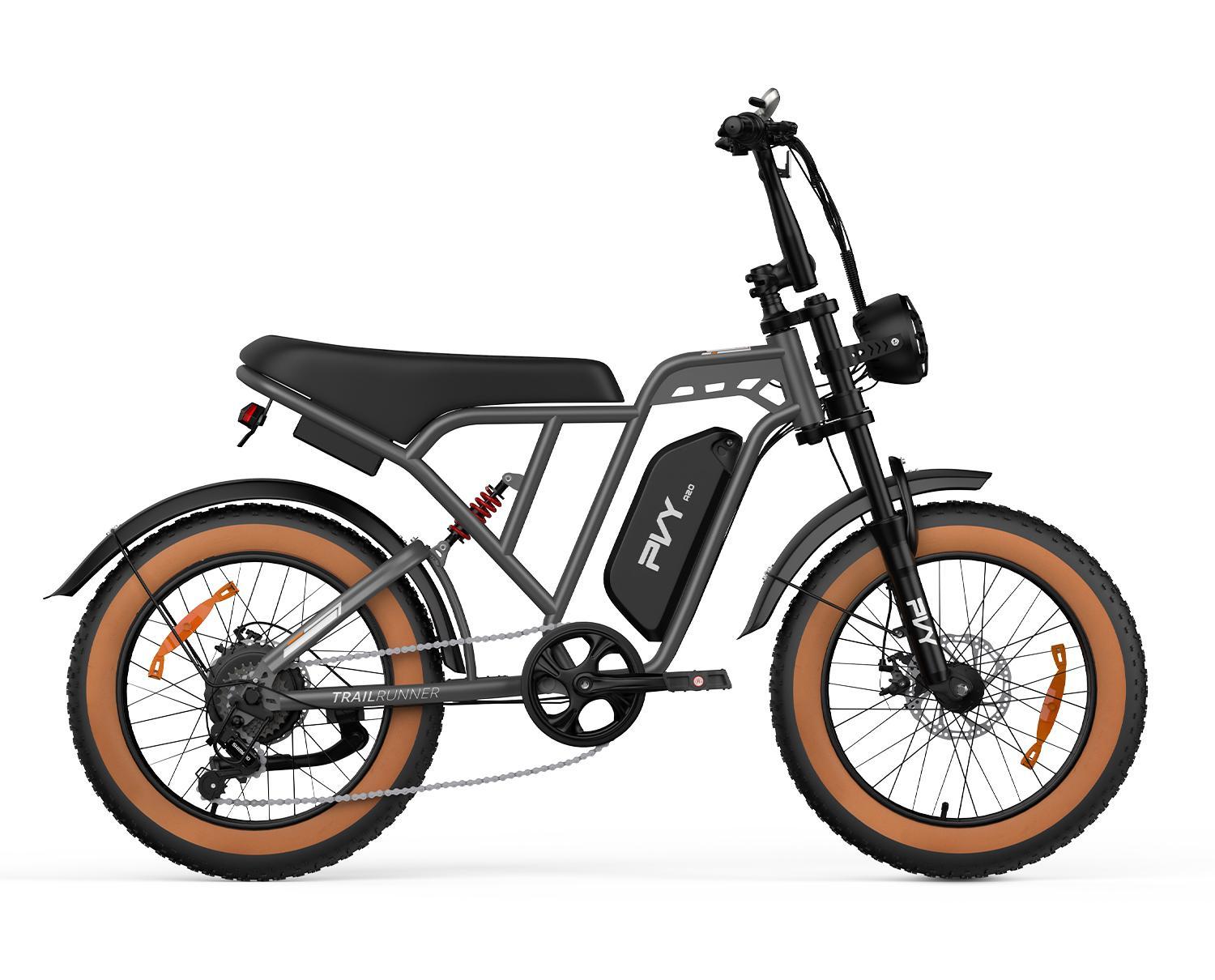 PVY A20（副本）